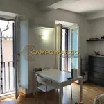 Rent 1 bedroom apartment of 40 m² in Roma