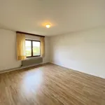 Rent 1 bedroom apartment in Leuven