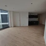 Huur 2 slaapkamer appartement van 56 m² in Arnhem