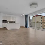 Rent 3 bedroom apartment of 79 m² in Staré Město