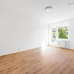 Rent 4 bedroom apartment of 187 m² in Capital City of Prague