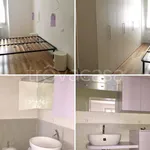 Rent 2 bedroom apartment of 50 m² in Mantova