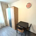 Rent 1 bedroom apartment in Praha 4