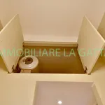 Rent 2 bedroom apartment of 60 m² in Milano