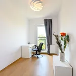 Rent 3 bedroom apartment of 69 m² in Łódź