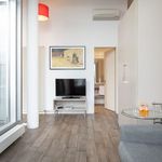 Rent 1 bedroom apartment of 45 m² in Munich