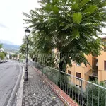 Rent 3 bedroom apartment of 90 m² in Velletri