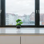 Rent 4 bedroom apartment of 150 m² in Berlin