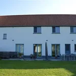 Rent 3 bedroom house of 300 m² in HAMME-MILLE