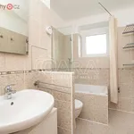 Rent 3 bedroom apartment of 51 m² in Praha