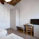 Rent 2 bedroom apartment of 80 m² in florence