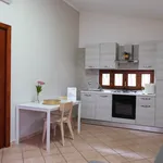 Rent 2 bedroom apartment of 55 m² in Somma Vesuviana