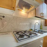 Rent 4 bedroom apartment of 85 m² in Siena