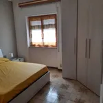 Affittasi Appartamento, Nettuno centro via Venezia 4 posti letto agosto- - Annunci Nettuno (Roma) - Rif.588670