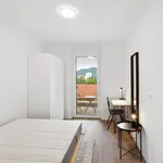 Rent 3 bedroom apartment in Graz