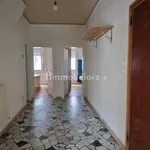 Rent 3 bedroom apartment of 85 m² in Padua