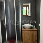 Rent 2 bedroom apartment of 45 m² in Pinzolo