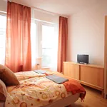 Rent 1 bedroom apartment of 30 m² in Prague