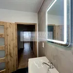 Rent 1 bedroom house of 956 m² in Frenštát pod Radhoštěm