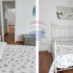 Rent 4 bedroom apartment of 50 m² in Viareggio