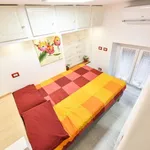 Rent 1 bedroom apartment in Milan