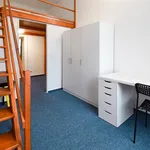 Rent 4 bedroom apartment of 95 m² in Brno