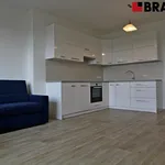 Pronajměte si 3 ložnic/e byt o rozloze 77 m² v Brno