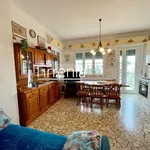 Rent 2 bedroom apartment of 45 m² in Pisa