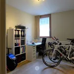 Rent 1 bedroom apartment in Gent