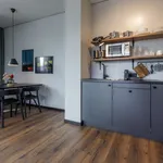 Rent 3 bedroom apartment of 65 m² in Freiburg im Breisgau