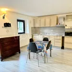 Rent 1 bedroom apartment in Jesi