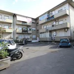 Rent 4 bedroom apartment of 100 m² in Mascalucia