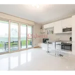 Rent 1 bedroom apartment of 41 m² in Milano