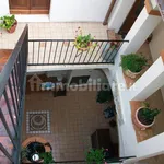 Rent 1 bedroom apartment of 36 m² in Vasto