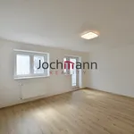 Rent 4 bedroom apartment of 90 m² in České Budějovice