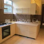 Rent 7 bedroom house of 1000 m² in Zagreb