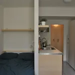 Rent 1 bedroom apartment of 35 m² in Brno