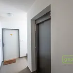 Pronajměte si 2 ložnic/e byt o rozloze 40 m² v Prague