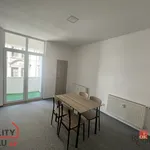 Rent 3 bedroom apartment of 47 m² in Ostrava