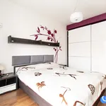 Rent 2 bedroom apartment of 50 m² in Krakow