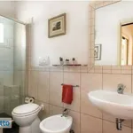 Rent 4 bedroom apartment of 95 m² in Catania