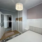 Rent 3 bedroom apartment of 54 m² in Toruń