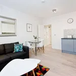 Rent 1 bedroom apartment in london