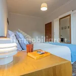 Rent 1 bedroom apartment of 45 m² in Turin