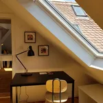 Rent 2 bedroom apartment of 45 m² in Marburg