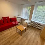 Rent 1 bedroom apartment of 20 m² in Capital City of Prague