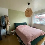 Rent 2 bedroom apartment of 45 m² in Bergen