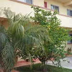 Rent 1 bedroom apartment of 600 m² in Baja California Norte