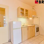 Rent 2 bedroom apartment of 45 m² in Brno