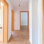 Rent 3 bedroom apartment of 59 m² in Chemnitz